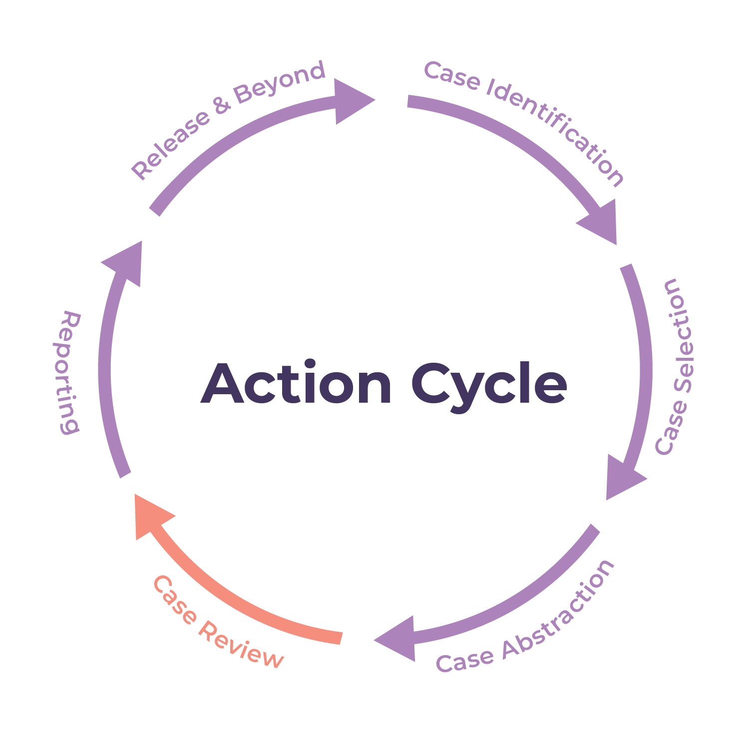 action cycle step 4