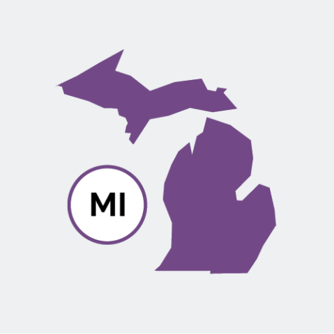 Michigan state icon