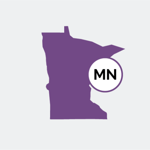 Minnesota state icon