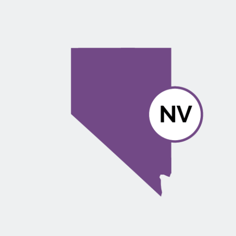 Nevada state icon