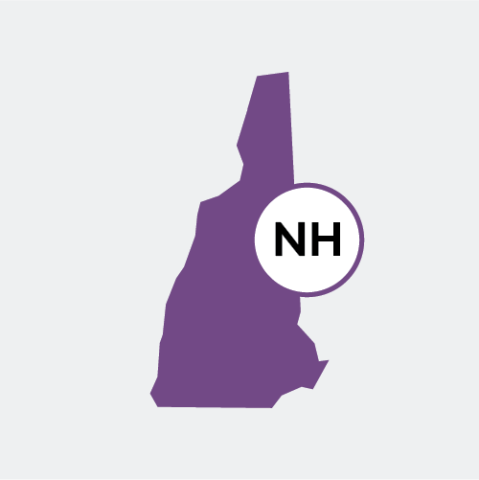 New Hampshire state icon