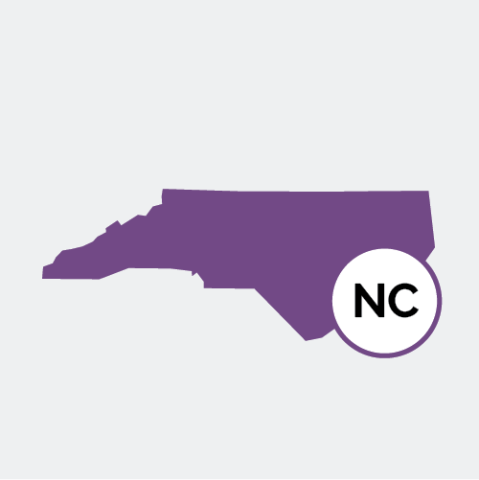 North Carolina state icon