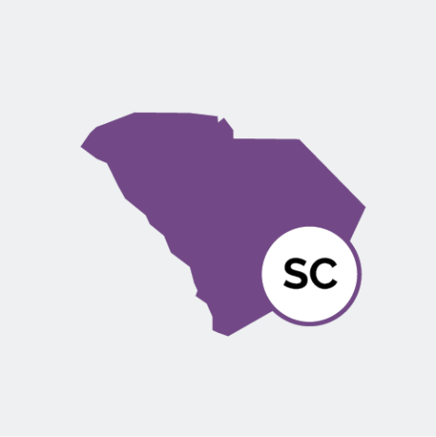 South Carolina state icon