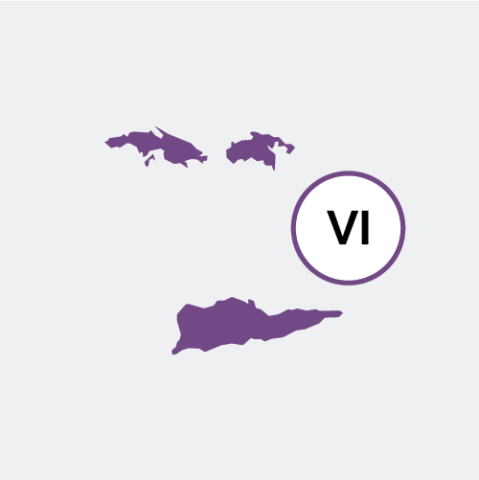U.S. Virgin Islands icon