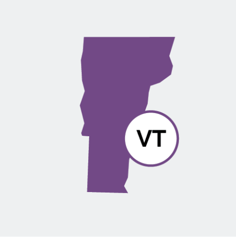 Vermont state icon
