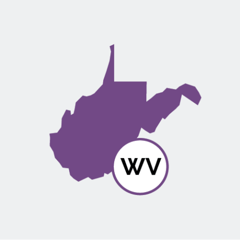 West Virginia state icon
